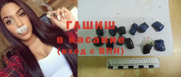 прущие грибы Заводоуковск