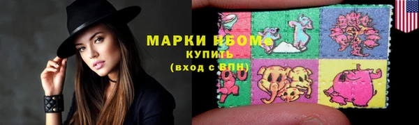 прущие грибы Заводоуковск