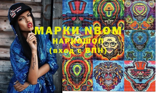 тгк Ельня