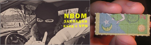 прущие грибы Заволжск