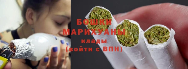 прущие грибы Заволжск