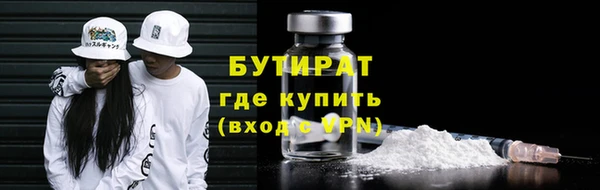 прущие грибы Заводоуковск