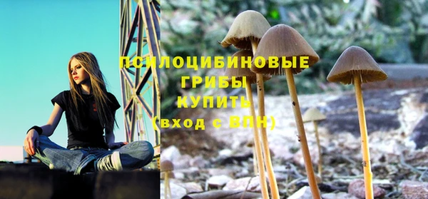 2c-b Елабуга