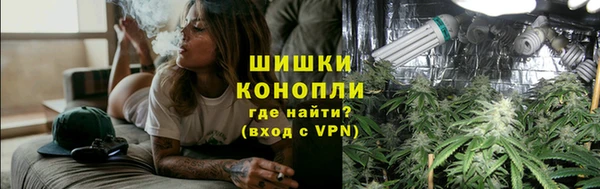 прущие грибы Заволжск
