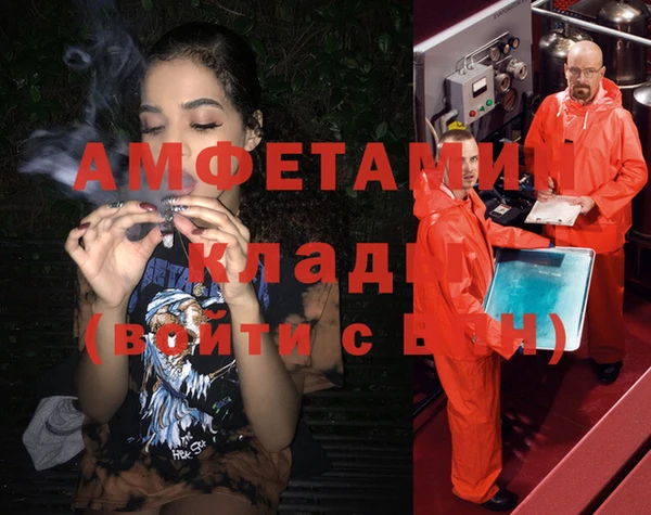 тгк Ельня