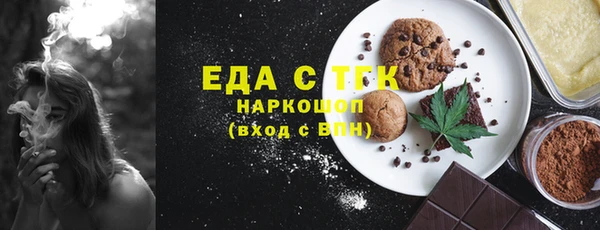 тгк Ельня