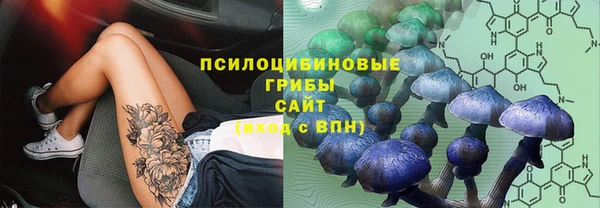 2c-b Елабуга
