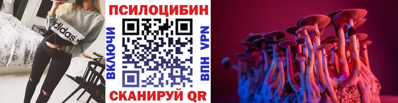 Галлюциногенные грибы Psilocybe  Липецк 